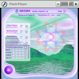 Macromedia Flash Player для Palm OS