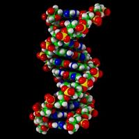 Гены — причина гаджетомании