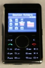 Samsung SGH-P310    