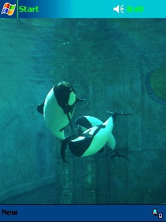 ��� �������� ��������� �� ������ ���