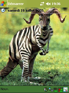 ��� �������� ��������� �� ������ ���