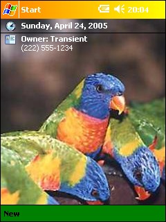 ��� �������� ��������� �� ������ ���