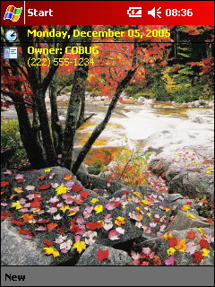 ��� �������� ��������� �� ������ ���