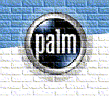 так выглядит программа на экране Palm