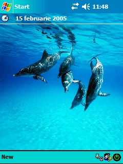 ��� �������� ��������� �� ������ ���