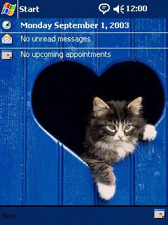 ��� �������� ��������� �� ������ ���