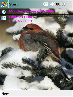 ��� �������� ��������� �� ������ ���