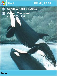 ��� �������� ��������� �� ������ ���